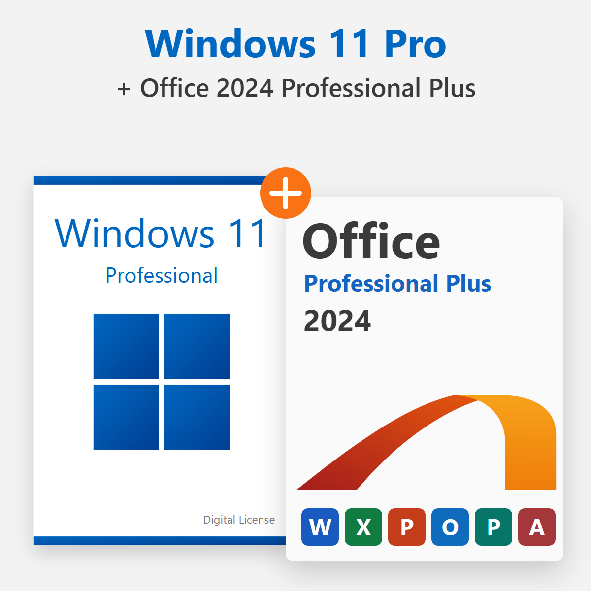 Bundle Windows 11 Pro + Office 2024 Professional Plus